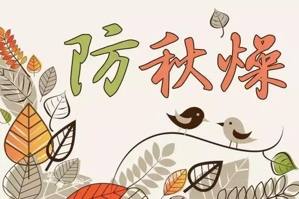 皮肤干燥润肺茶饮,天气干燥喝什么粥降火