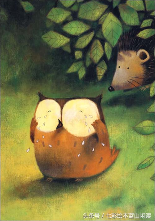 孩子爱哭怎么正确引导书籍,爱哭的猫头鹰完整绘本