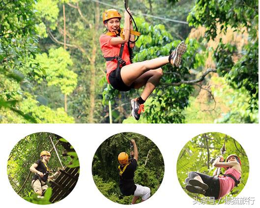 只知道人妖秀？芭提雅还有这些90%的人不知道的小清新玩法