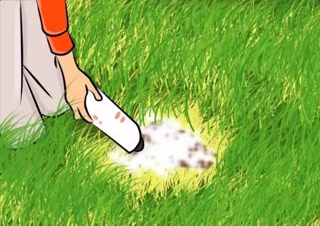 防止红火蚁咬,防范红火蚁入侵的对策建议