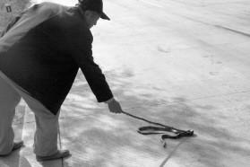 孕妇开车压死蛇是什么征兆,梦见开车压死蛇是什么征兆