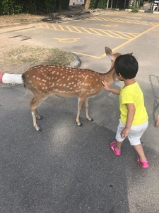 普吉岛清迈曼谷的游玩顺序亲子游,泰国清迈旅游团自由行