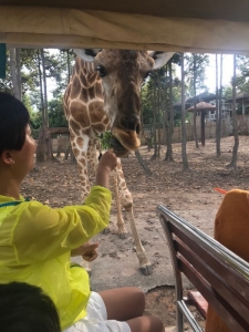 普吉岛清迈曼谷的游玩顺序亲子游,泰国清迈旅游团自由行