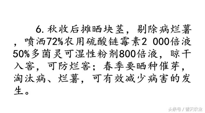 马铃薯疮痂病发生症状,马铃薯疮痂病的发病症状