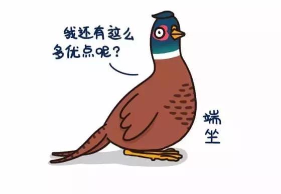 如何避免掉入“野鸡”平台的陷阱｜念钱安小课堂