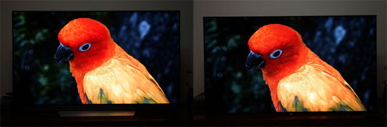 索尼a1与7c比较,索尼a1对比评测