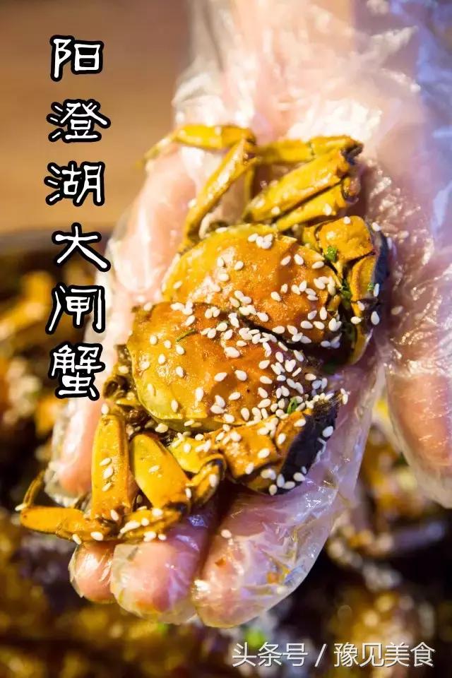 郑州冬天砂锅,郑州超好吃的9家砂锅店