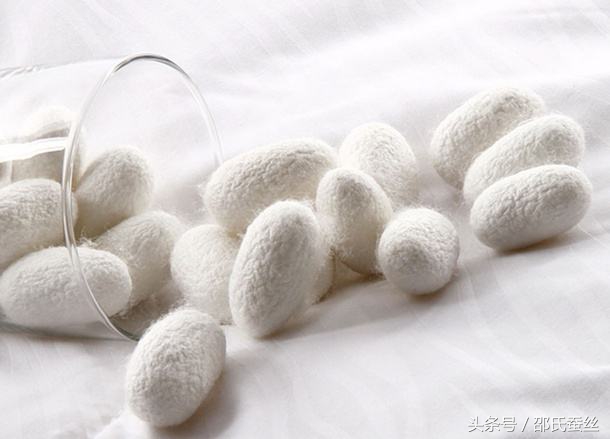 蚕丝被100%桑蚕丝第一名,100%蚕丝被四件套价格