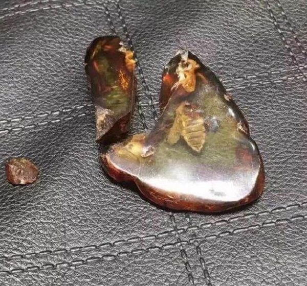 又一个30万的教训，一个小虫珀凭什么吓坏两个大男人？