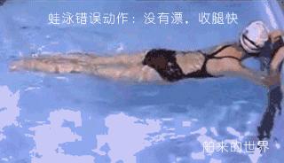 蛙泳腿蛙泳手在河里游,蛙泳教程