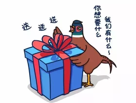 如何避免掉入“野鸡”平台的陷阱｜念钱安小课堂