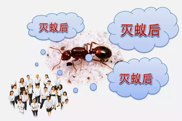 防止红火蚁咬,防范红火蚁入侵的对策建议