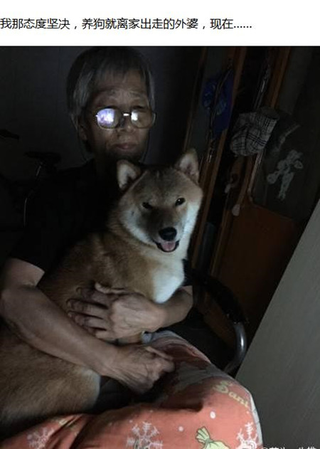 家长不让养宠物怎么办,家长不让孩子养宠物的原因的视频