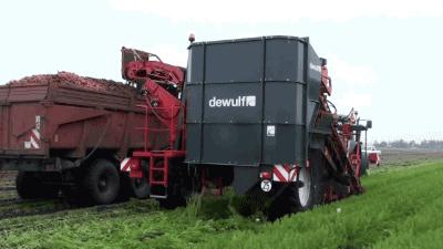 满满的一汤匙塞进口里，混合着酒香体会它们在你嘴里爆裂的感觉