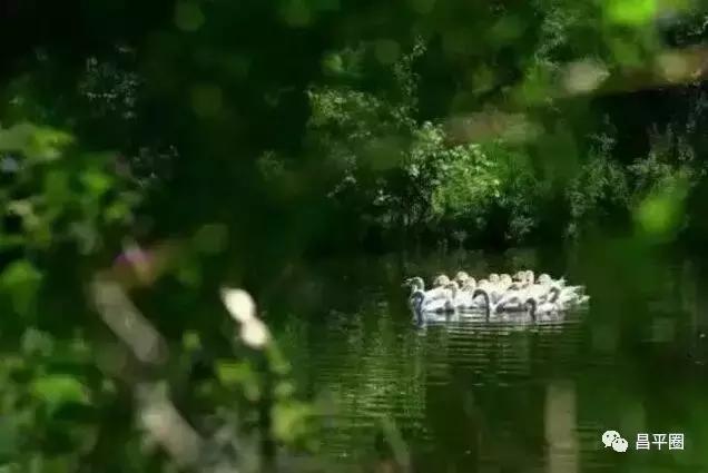昌平北七家亲子游玩推荐,昌平一日游景点大全集