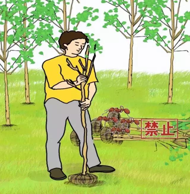 防止红火蚁咬,防范红火蚁入侵的对策建议