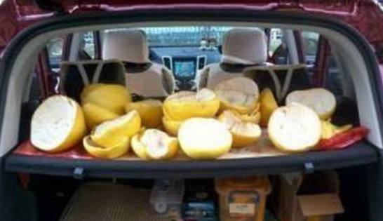 这些东西千万不要往家里搬,财神能随便送人吗