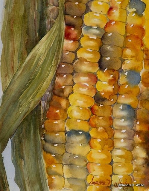 每天学一点摄影,每天学一点美妆