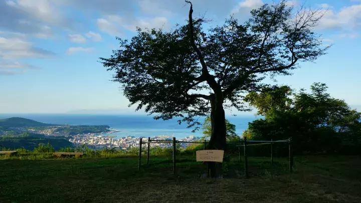 灏忔ń婕,灏忔ń姝ヨ娓歌