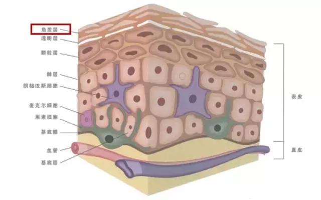 继续用这些，你的脸一定会变得很惨~