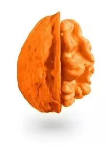 老杨开悟觉醒,老杨开窍搞笑视频全集