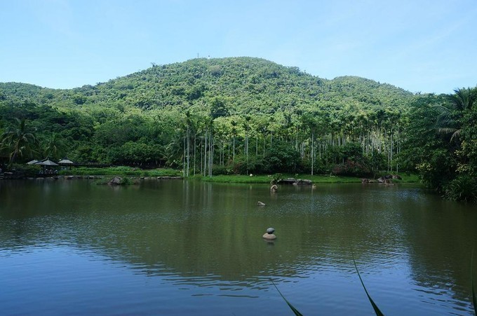 在三亚的沙滩上晒太阳,三亚海边晒太阳