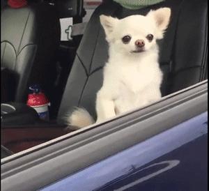 闲着没事来恶搞图片,闲着没事来段搞笑的作品