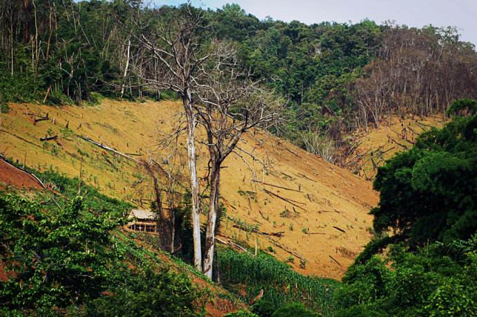 农村女儿出嫁了土地应该怎么办,媳妇孩子在村里没地怎么办