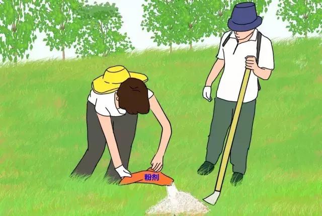 防止红火蚁咬,防范红火蚁入侵的对策建议