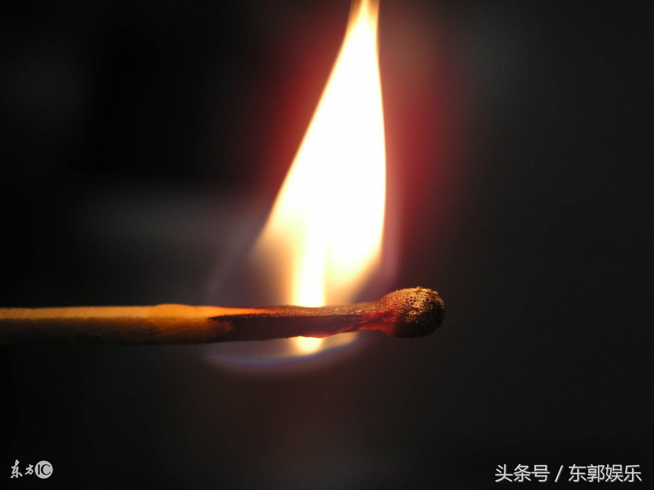 深夜有趣的冷知识,有关失眠有趣的小知识