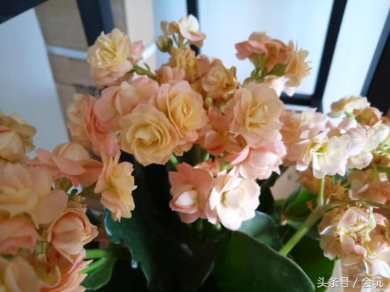 魅蓝6评测,魅蓝note6flyme6.1.4.6