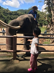普吉岛清迈曼谷的游玩顺序亲子游,泰国清迈旅游团自由行