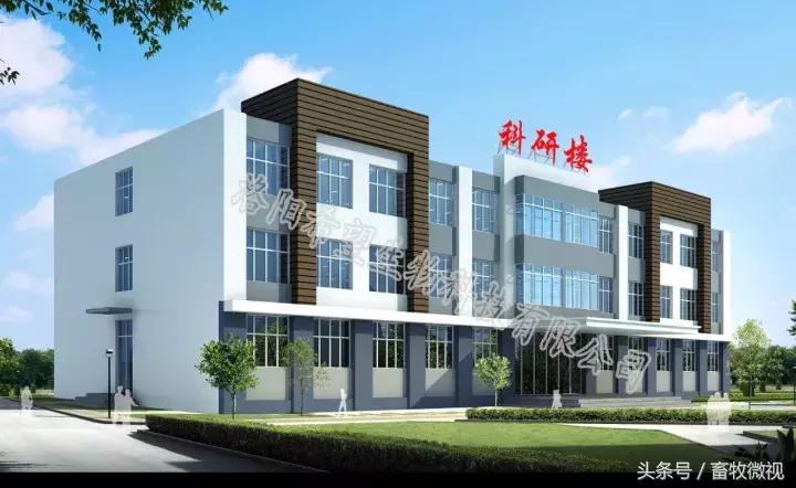 凝结芽孢杆菌作用机理及功能特点