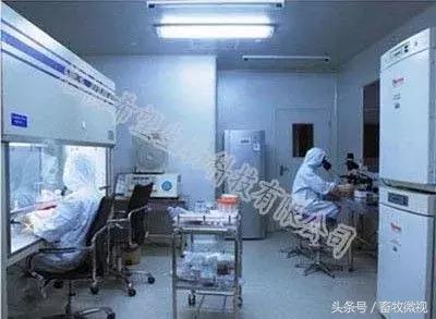 凝结芽孢杆菌作用机理及功能特点