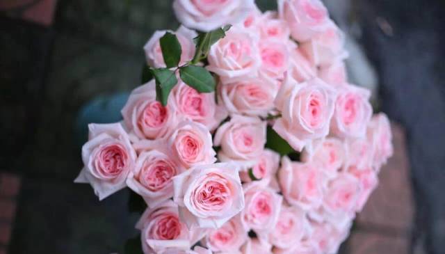 给玫瑰去刺的几种方法,玫瑰鲜花的刺怎么处理