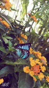 普吉岛清迈曼谷的游玩顺序亲子游,泰国清迈旅游团自由行