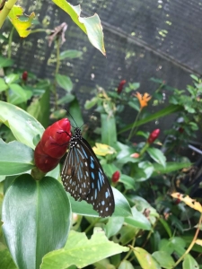 普吉岛清迈曼谷的游玩顺序亲子游,泰国清迈旅游团自由行