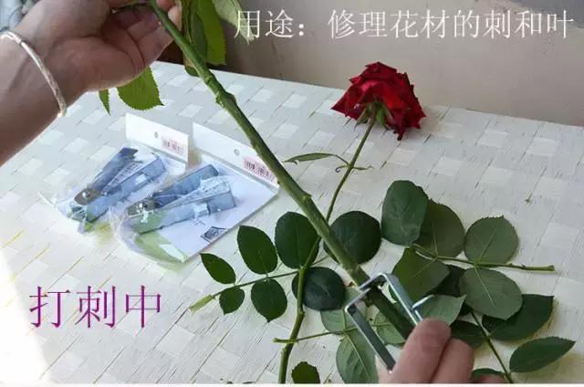 给玫瑰去刺的几种方法,玫瑰鲜花的刺怎么处理