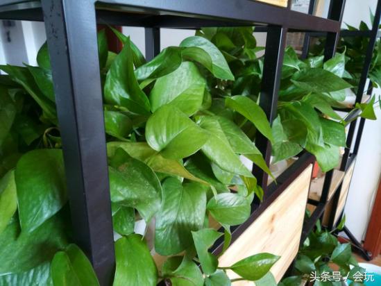 魅蓝6评测,魅蓝note6flyme6.1.4.6