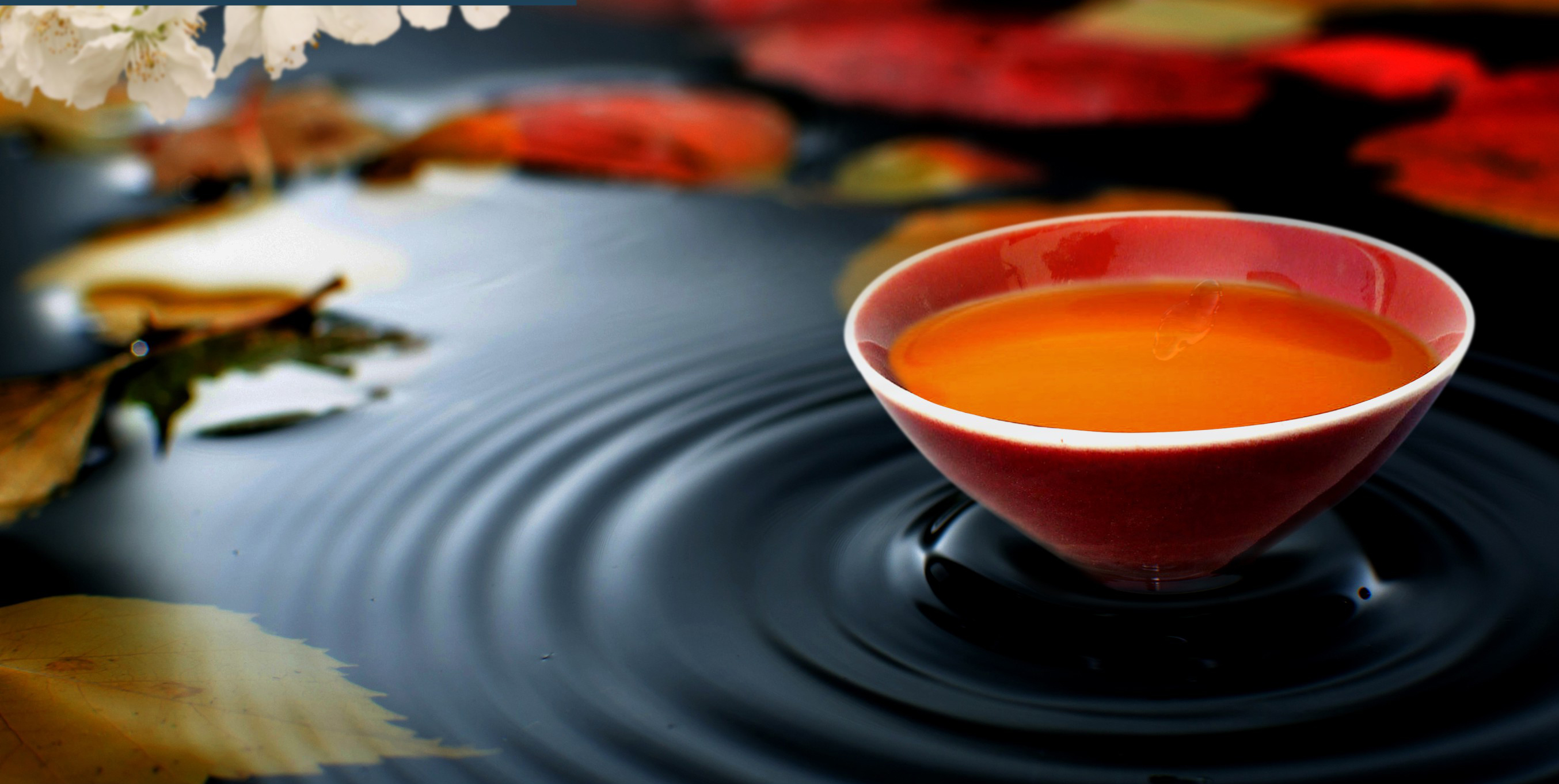 金秋完美“蟹”逅，靠它撩到TA！