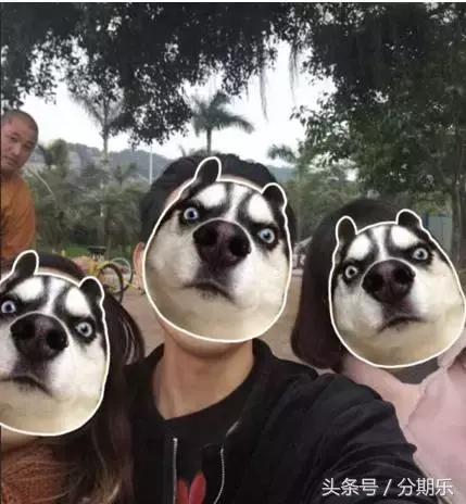 十一旅游购物陷阱,旅游旺季警惕这类骗局