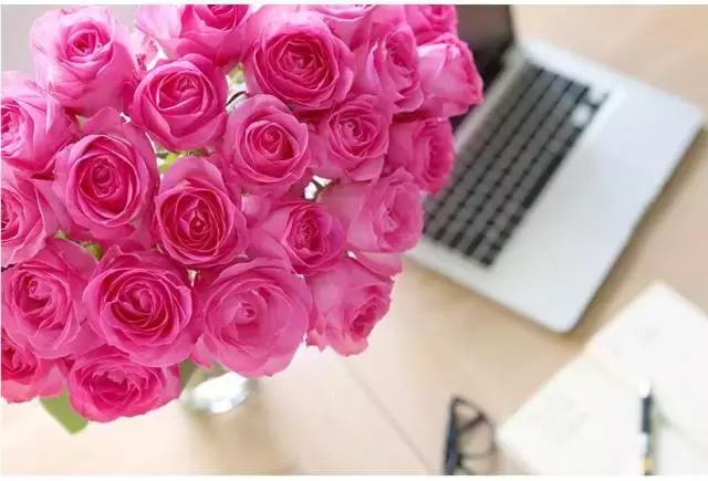 给玫瑰去刺的几种方法,玫瑰鲜花的刺怎么处理