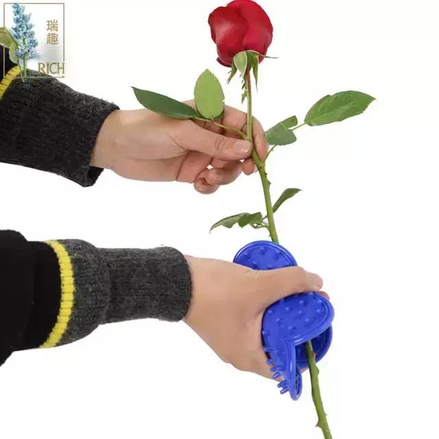 给玫瑰去刺的几种方法,玫瑰鲜花的刺怎么处理