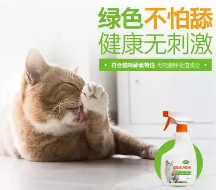 养猫攻略知识分享新手养宠看过来,秋季养猫的常见问题