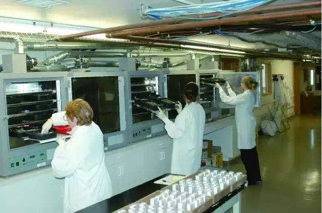 petmaster佩玛思,佩玛思特petmaster天然系列猫粮