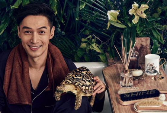 酒精可以治疗乌龟腐甲吗,腐甲腐皮的乌龟怎么治疗