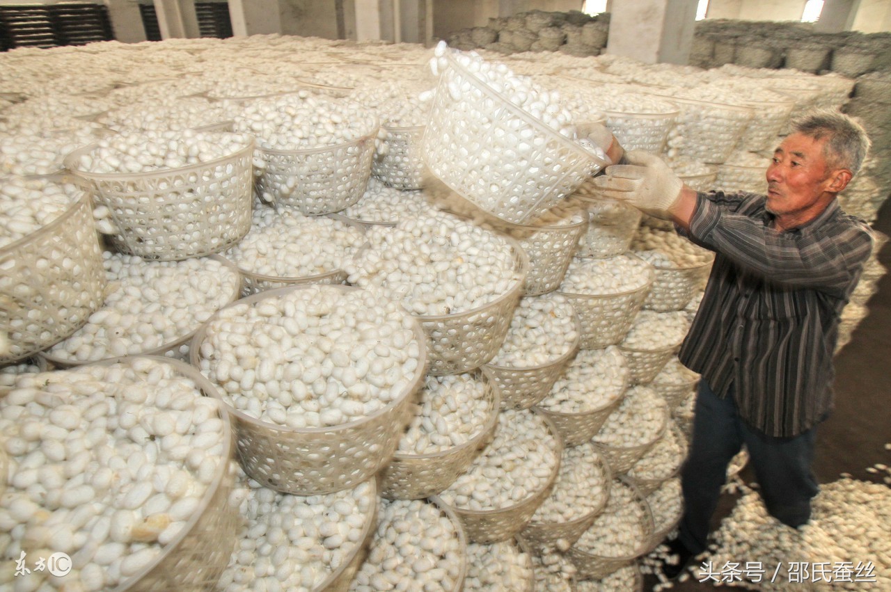 蚕丝被有猫腻之假蚕丝被的危害,假蚕丝被有什么危害