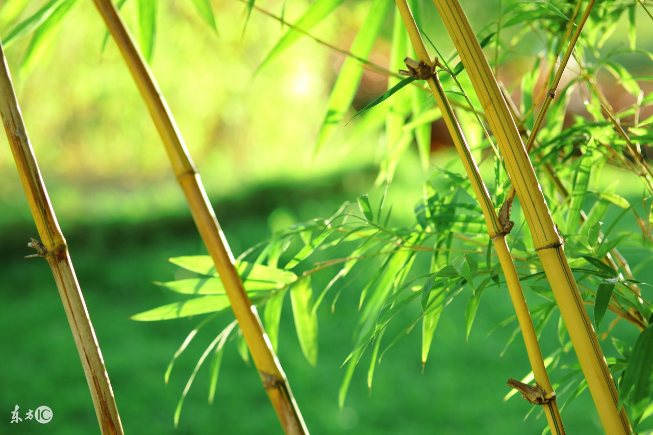 你为什么总觉得你很穷,你为什么穷因为认知太低