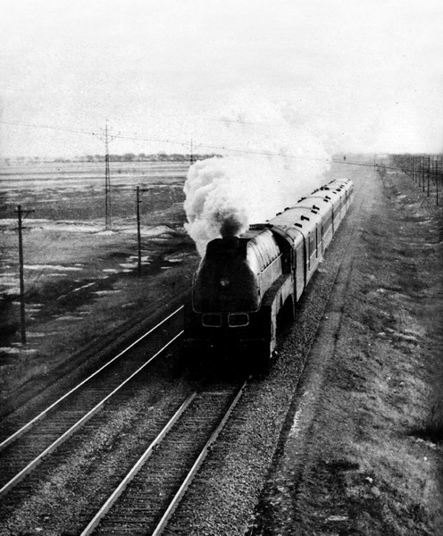 中国大米种植历史,中国大米是谁发明的