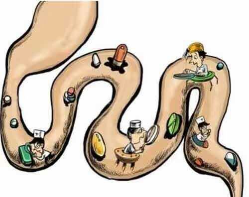 母乳喂养需要忌口辣椒吗,母乳妈妈应该怎么关注饮食